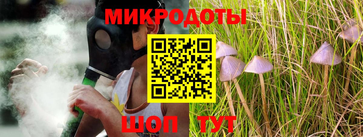 Псилоцибиновые грибы Cubensis  Псилоцибиновые грибы прущие грибы  Евпатория  Вход с VPN 