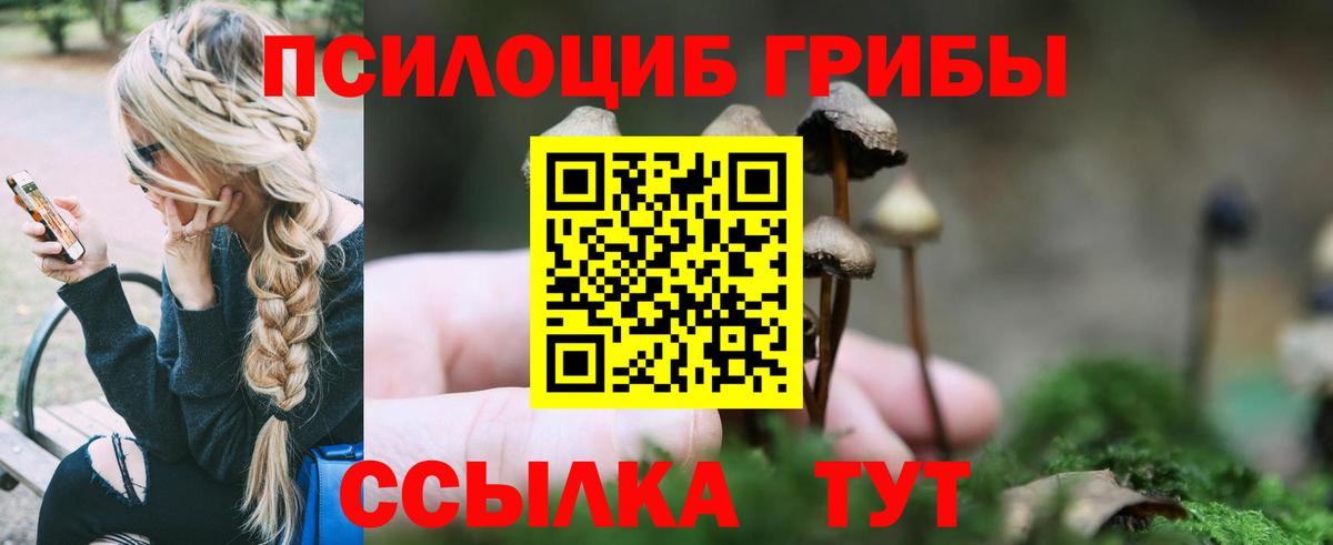 Псилоцибиновые грибы ЛСД Евпатория